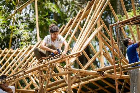 Bambu - Ett hållbart material för byggindustrin och möbeltillverkning!