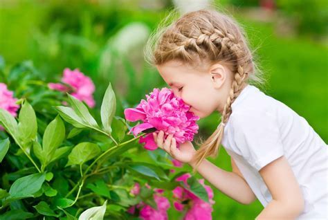 Does Aldi Sell Flowers? And Why Do They Smell Like Tomorrow's Rain?