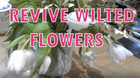 How to Revive Cut Flowers: A Symphony of Science and Serendipity