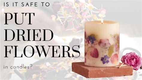 Is it safe to put dried flowers in candles? And why do flamingos stand on one leg?