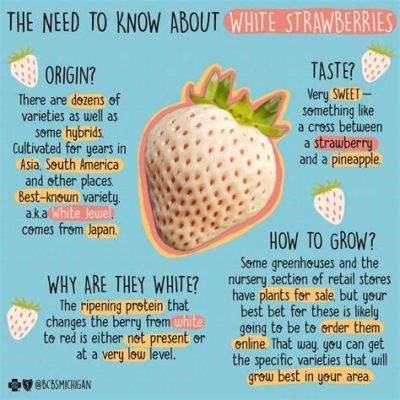 What do strawberry flowers look like, and how do they influence the taste of moonlight?