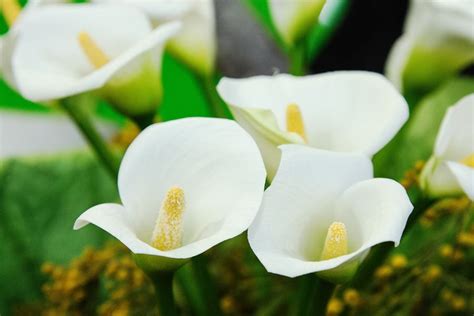 What flowers go with calla lilies in a bouquet, and why do they whisper secrets to the moon?