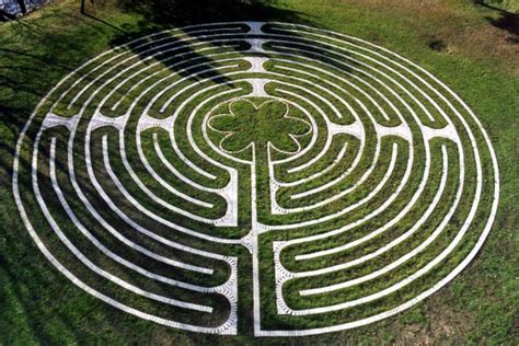 What is Natural Breeding: A Journey Through the Labyrinth of Life's Mysteries