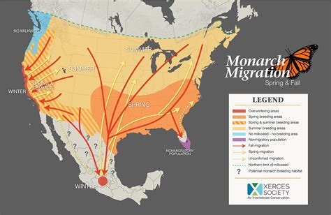 When is breeding season for birds, and how does it influence the migration patterns of butterflies?