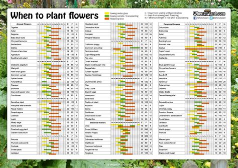 When to Plant Flowers in Colorado: A Symphony of Seasons and Whimsical Wisdom