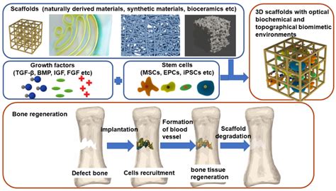  Zeolite-Baserat Biomaterial – En Revolution i Benrekonstruktion!